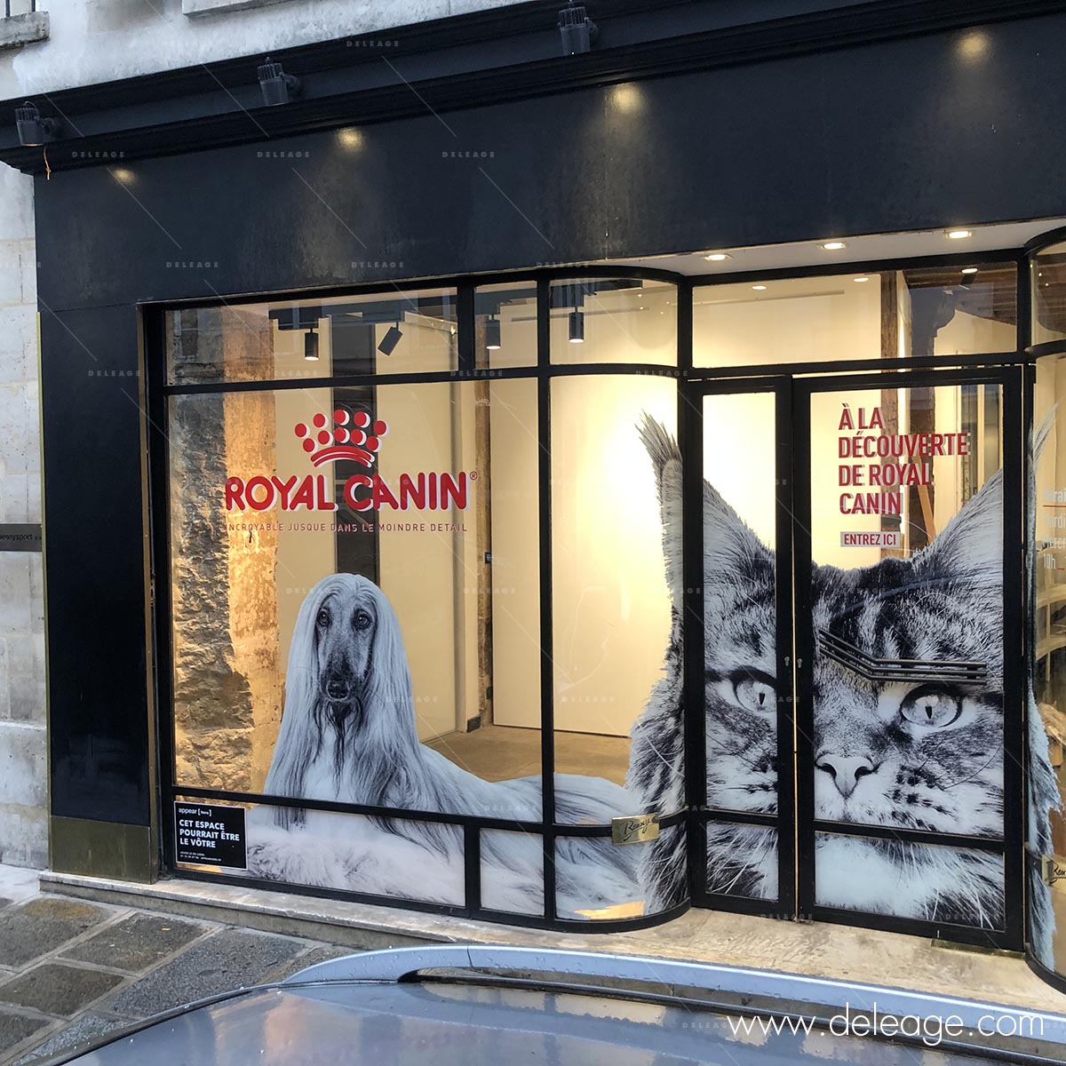 covering-vitrine
