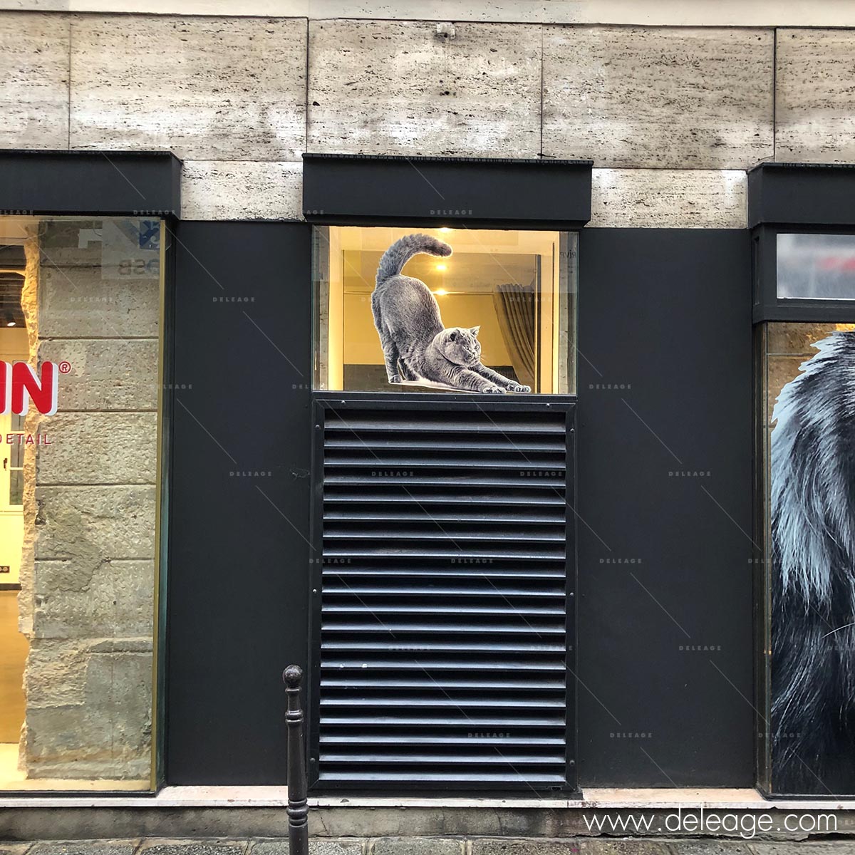 decoration-magasin-vitrophanie-tranparente-3