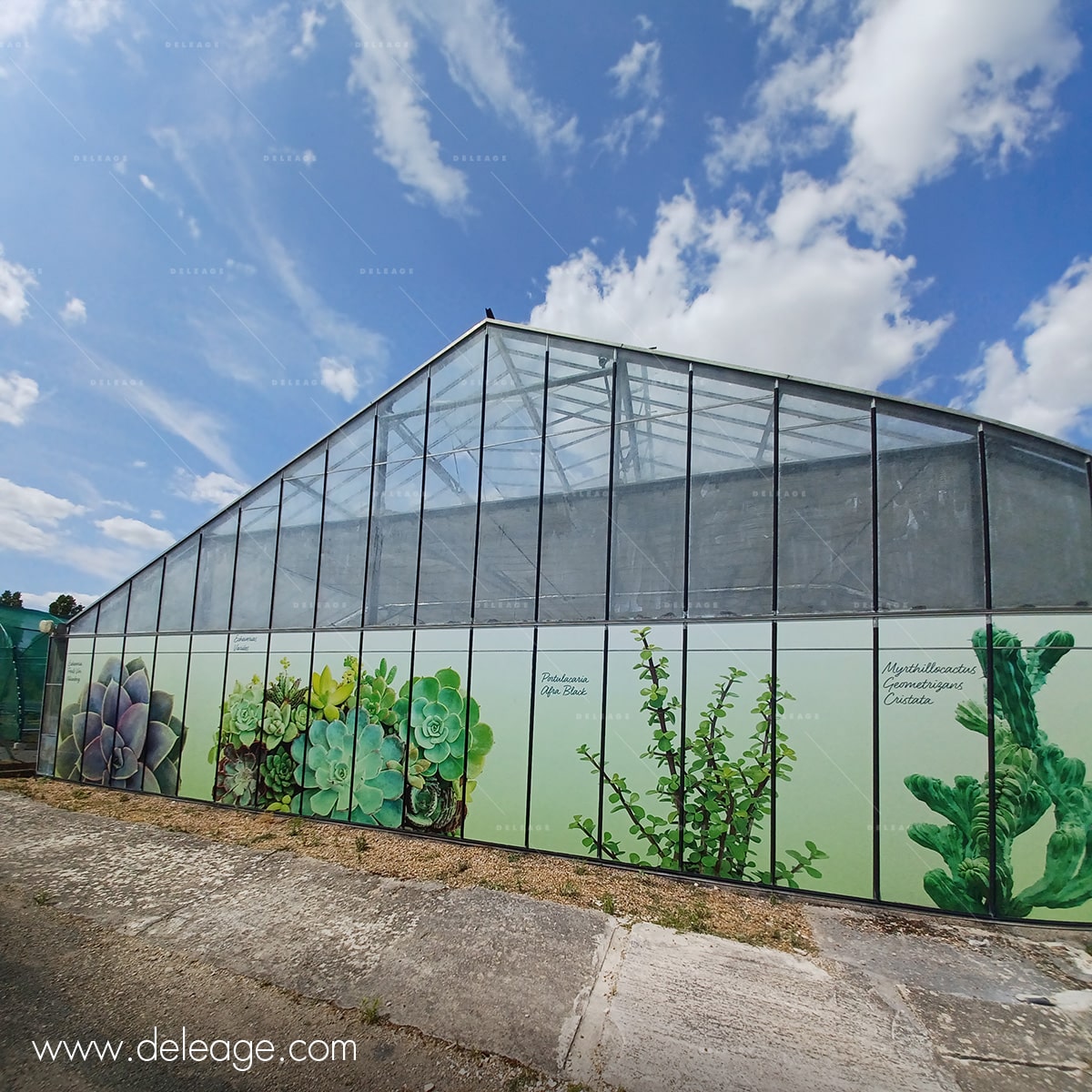 fresque-monumentale-en-vitrophanie