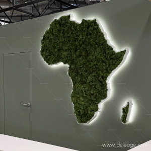 Afrique1